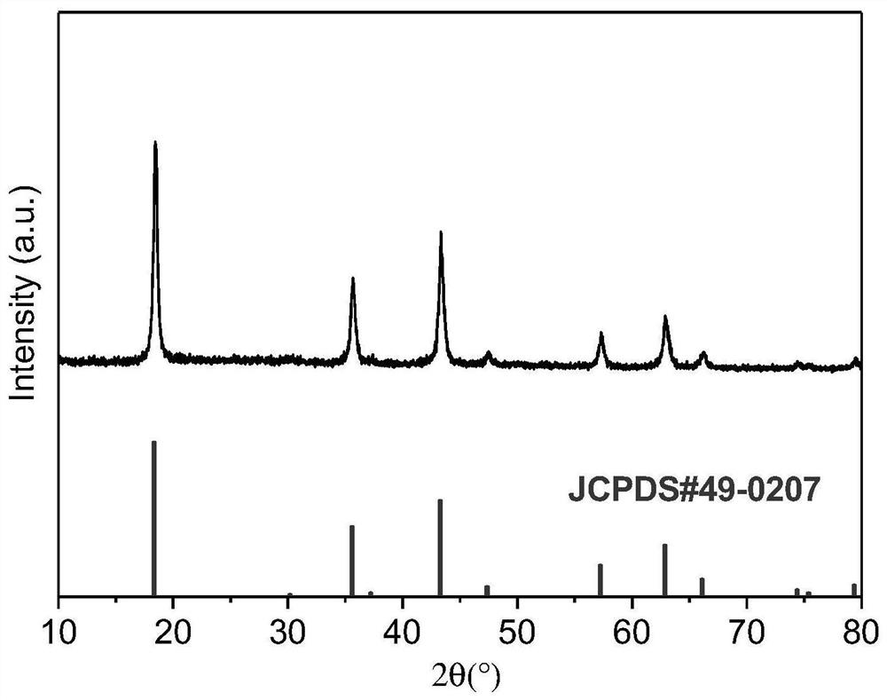 Nanosheet-shaped lithium titanate material with oriented structure and preparation method and application thereof