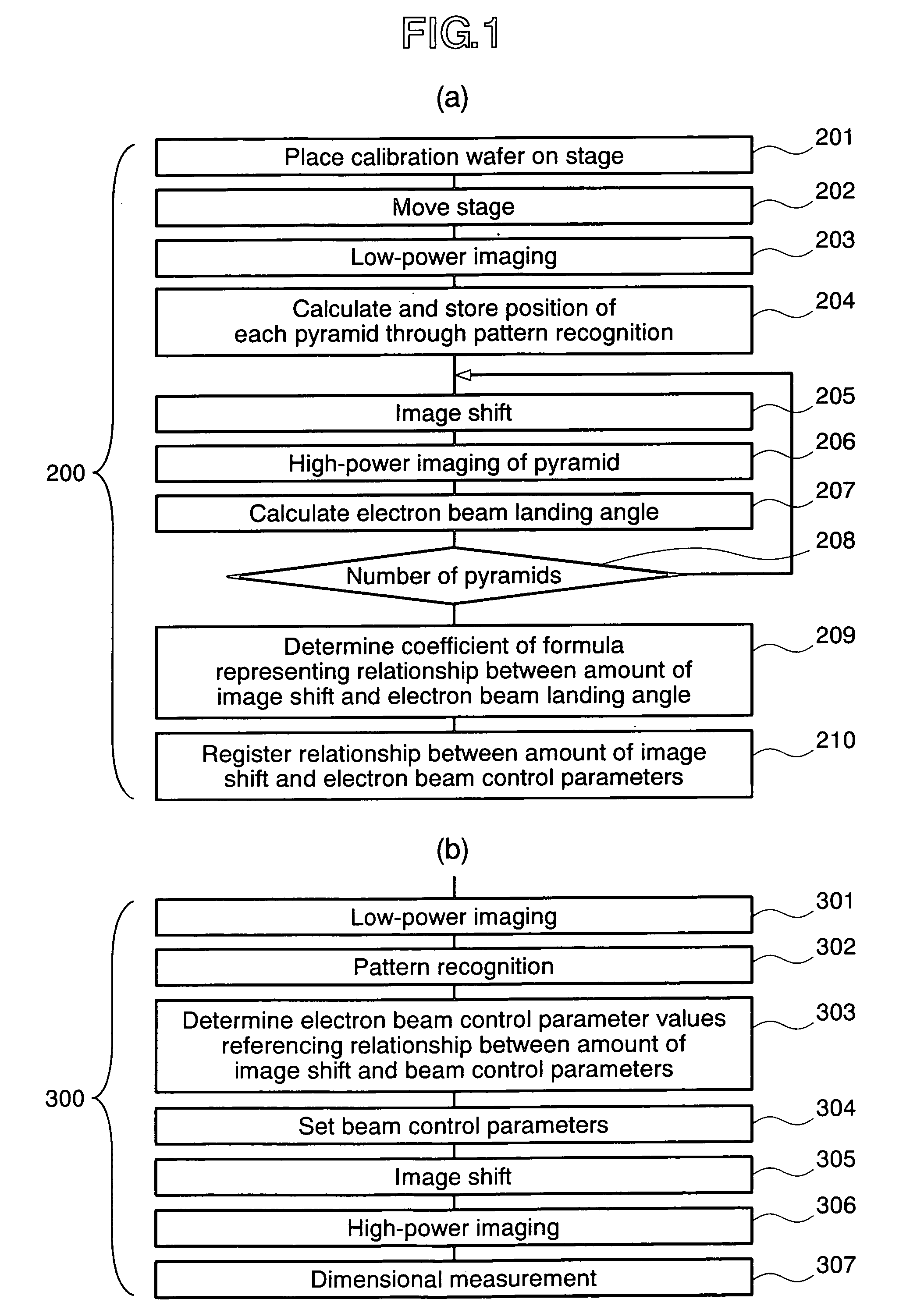 Charged particle beam apparatus and methods for capturing images using the same