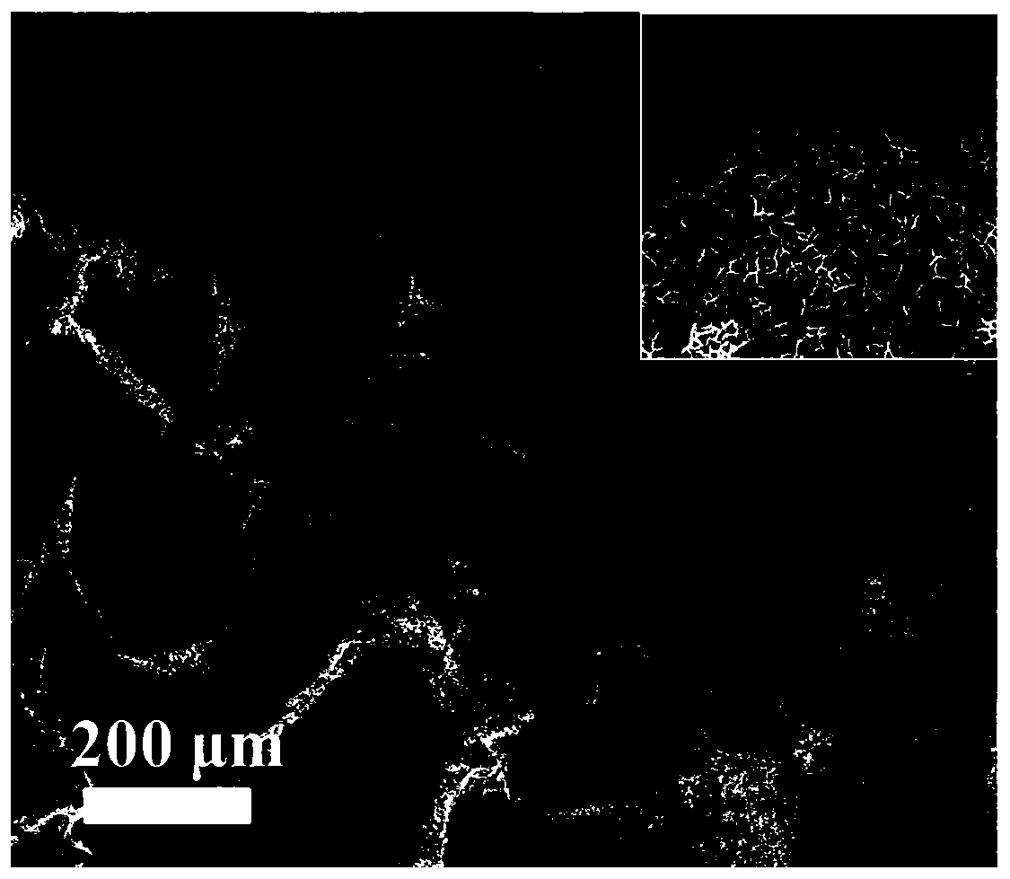 Zinc indium sulfide-nitrogen doped graphene foam composite photocatalytic material, and preparation method and application thereof