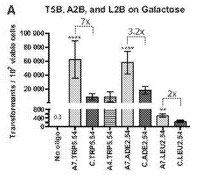 Aptamer-Guided Gene Targeting