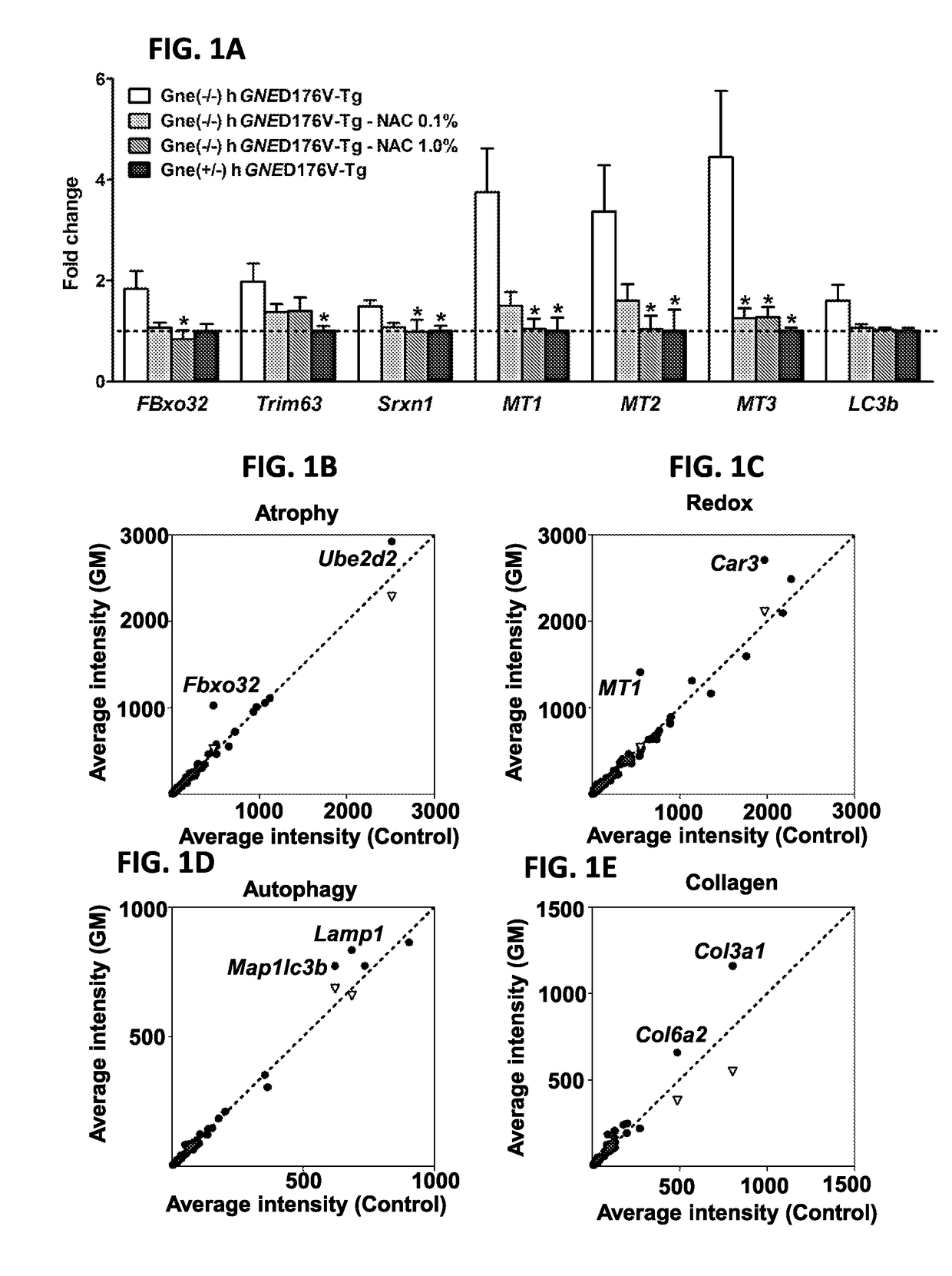 Sialylation-increasing therapies for diseases associated with oxidative stress