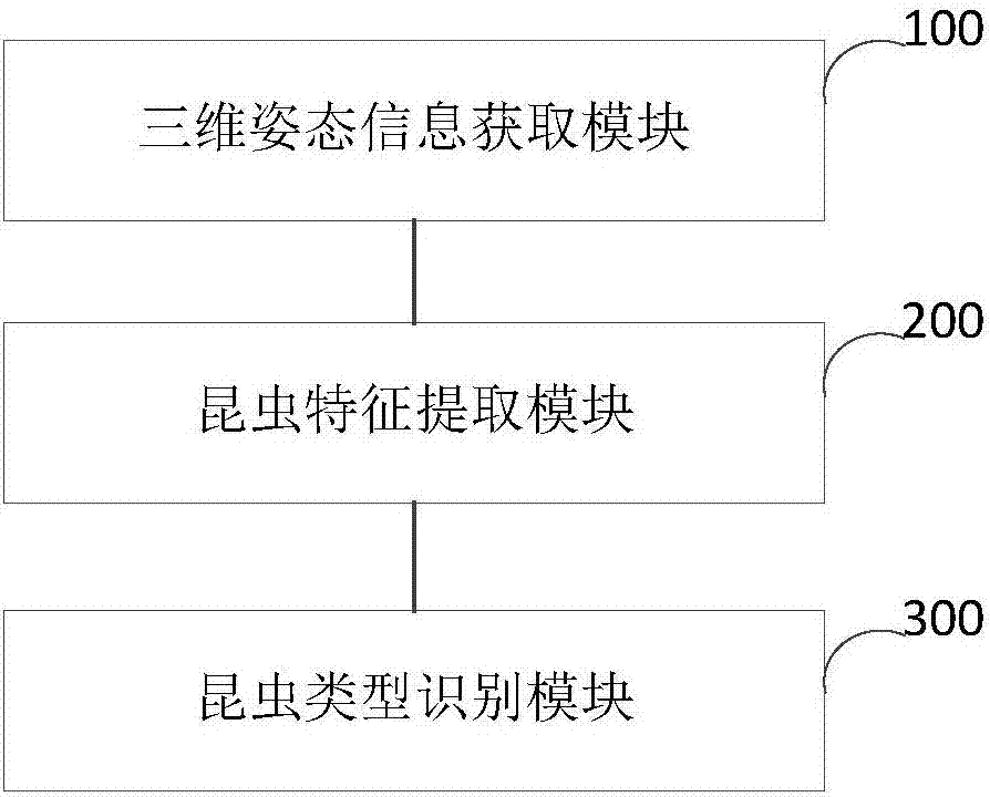 Insect identification device and method based on three-dimensional attitude estimation