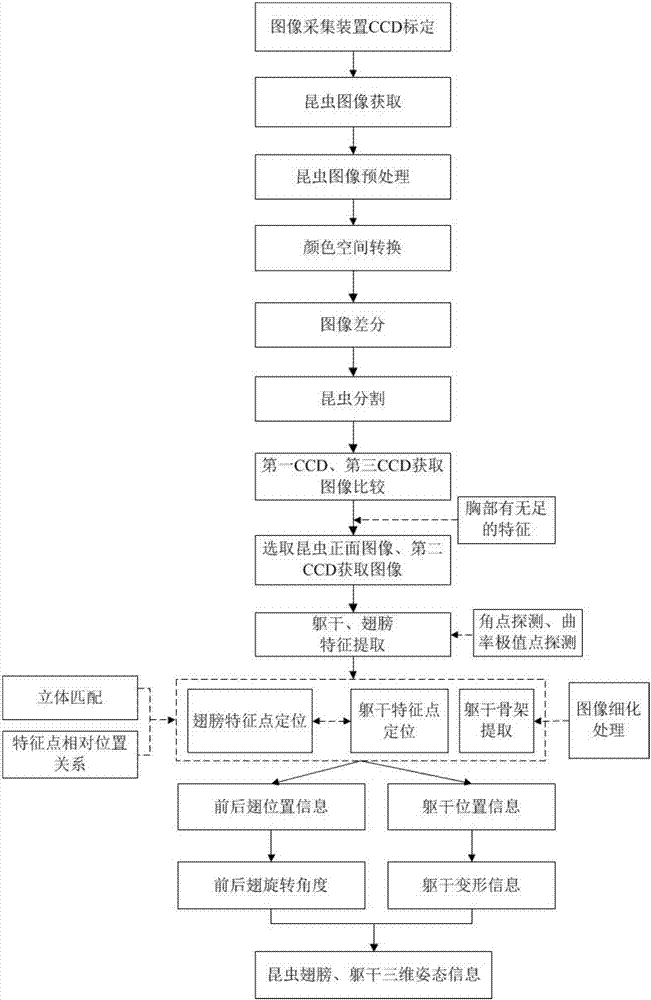 Insect identification device and method based on three-dimensional attitude estimation