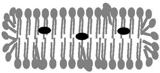 Screening method and screening system for beta-secretase specific inhibitor