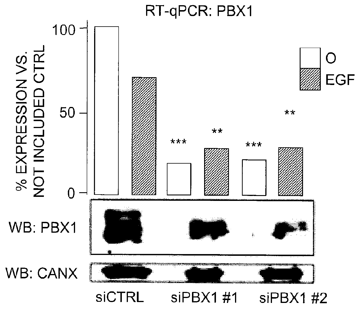 Markers for identifying breast cancer treatment modalities