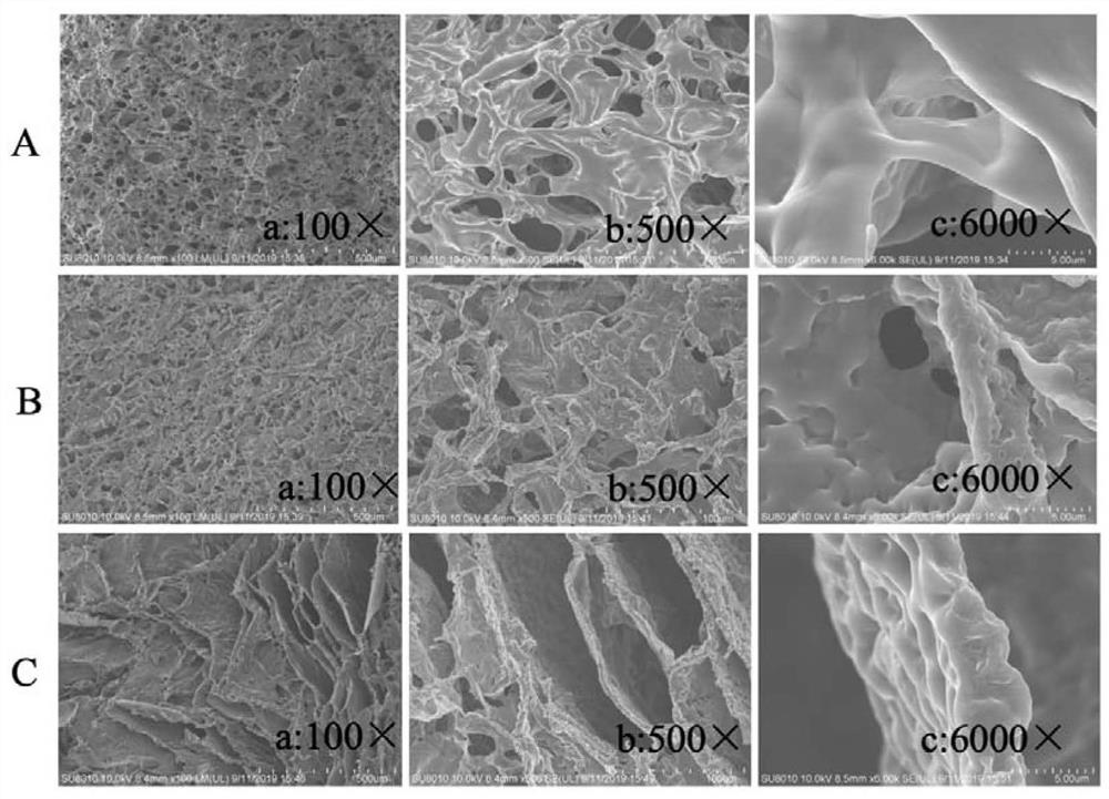 Medical cationic polymer antimicrobial dressing and preparation method