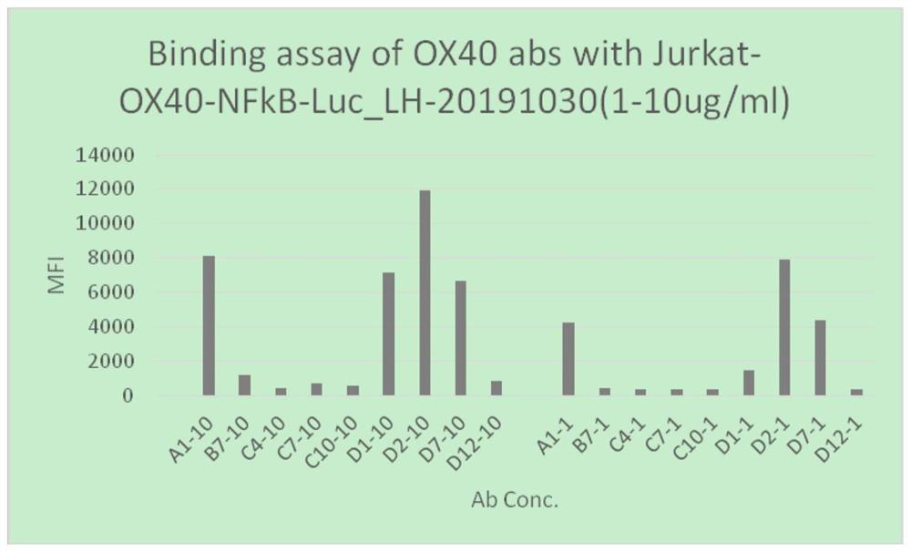 Anti-hu-OX40 antigen nano antibody and application thereof