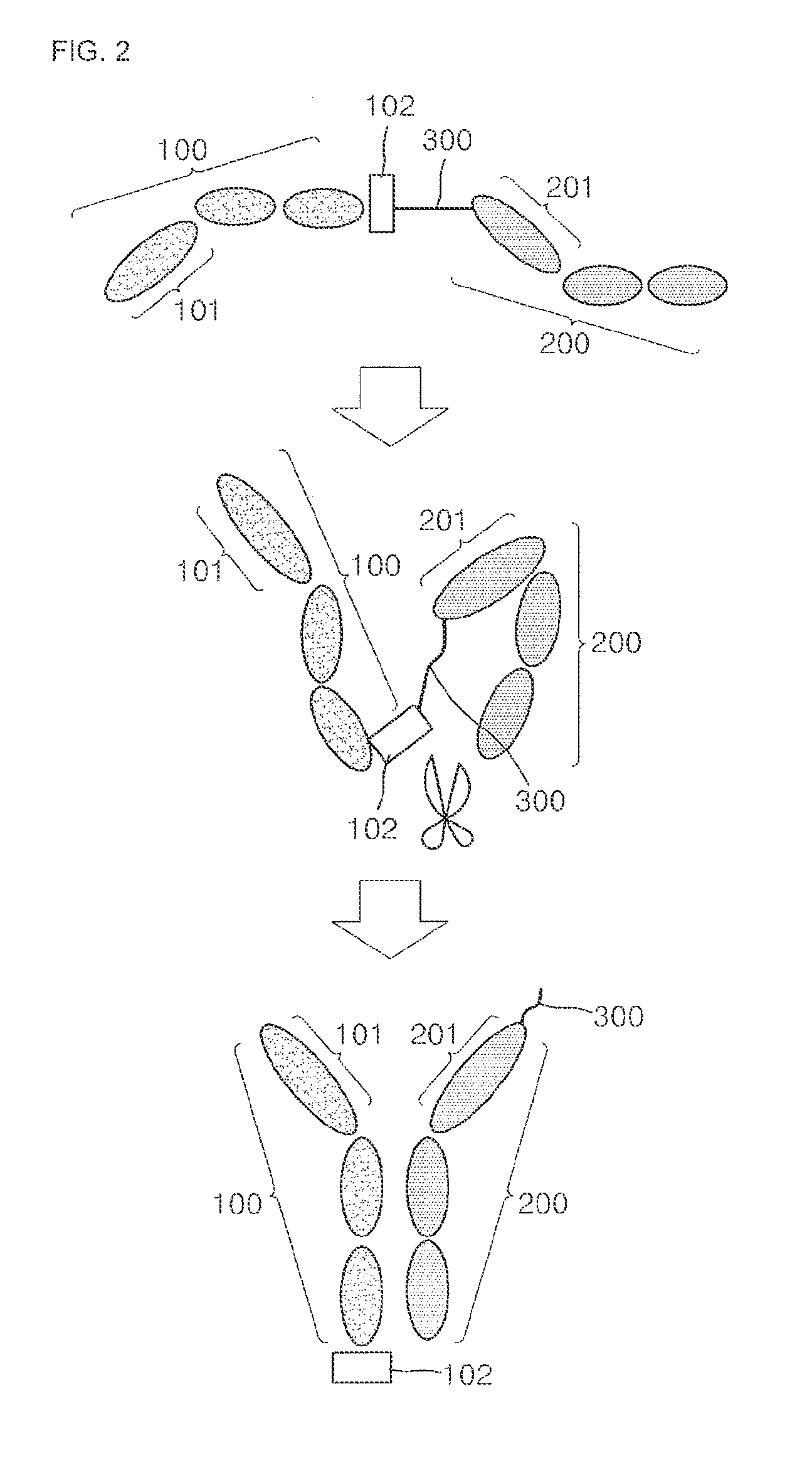 Bispecific antigen binding protein complex and preparation methods of bispecific antibodies