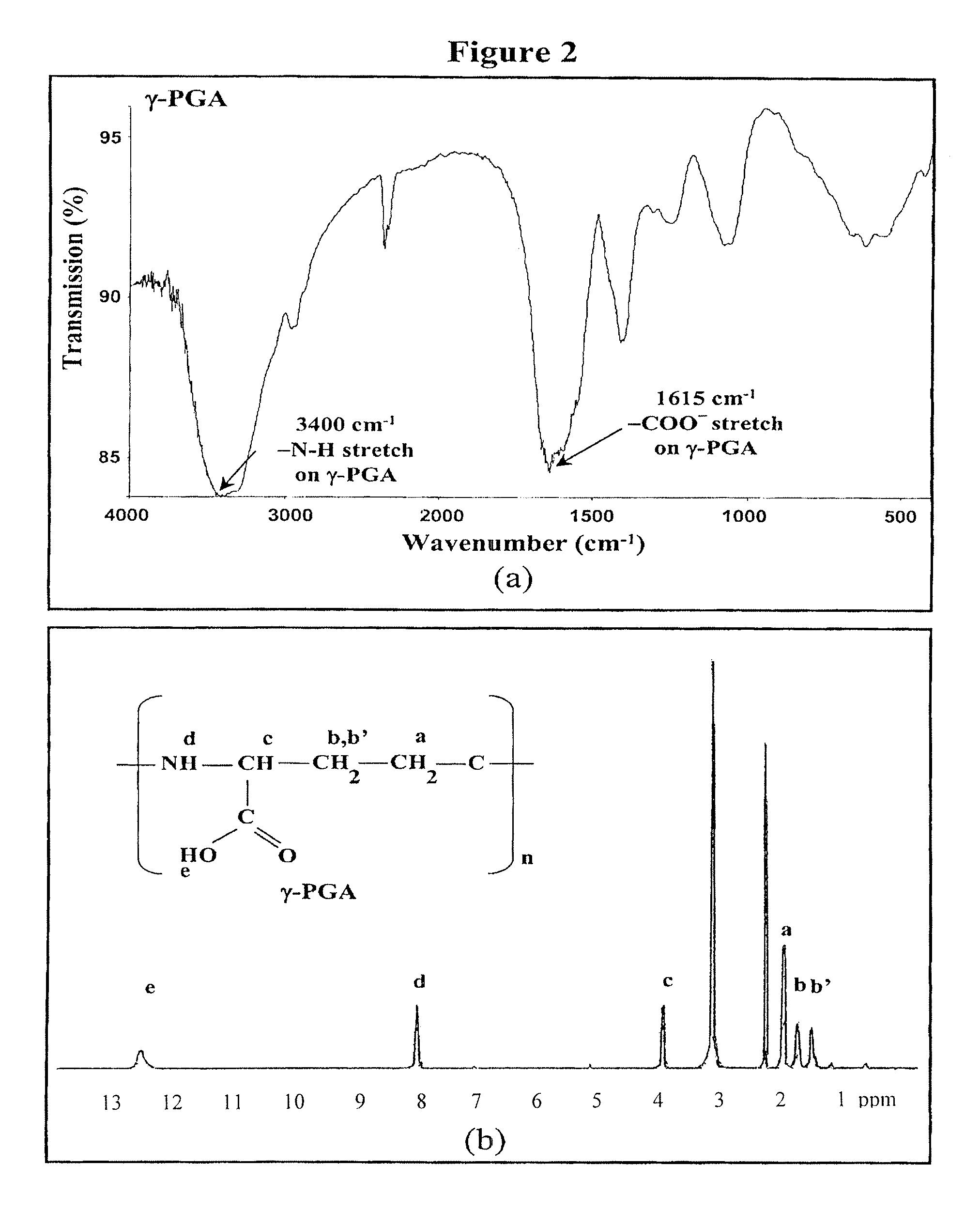 Pharmaceutical composition of nanoparticles