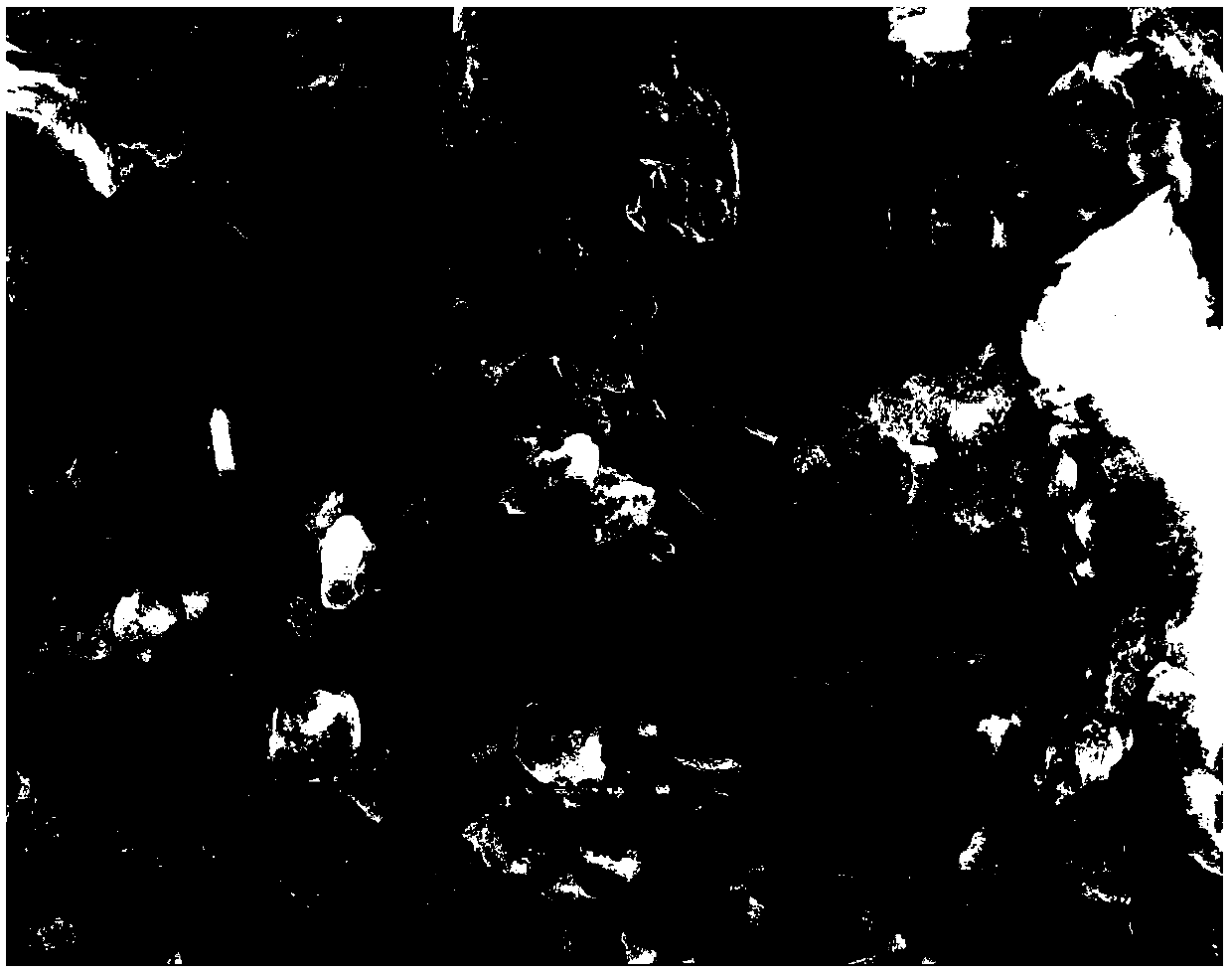 Preparation method of Ag@C-modified fluorinated carbon electrode material