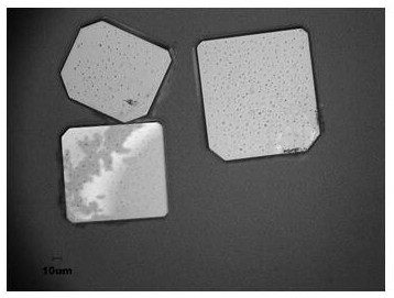 A kind of preparation method of perovskite single crystal