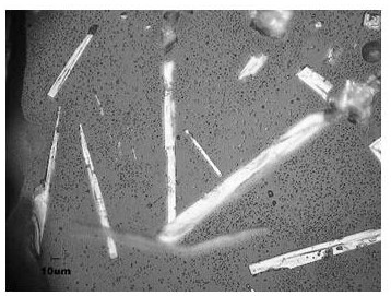 A kind of preparation method of perovskite single crystal