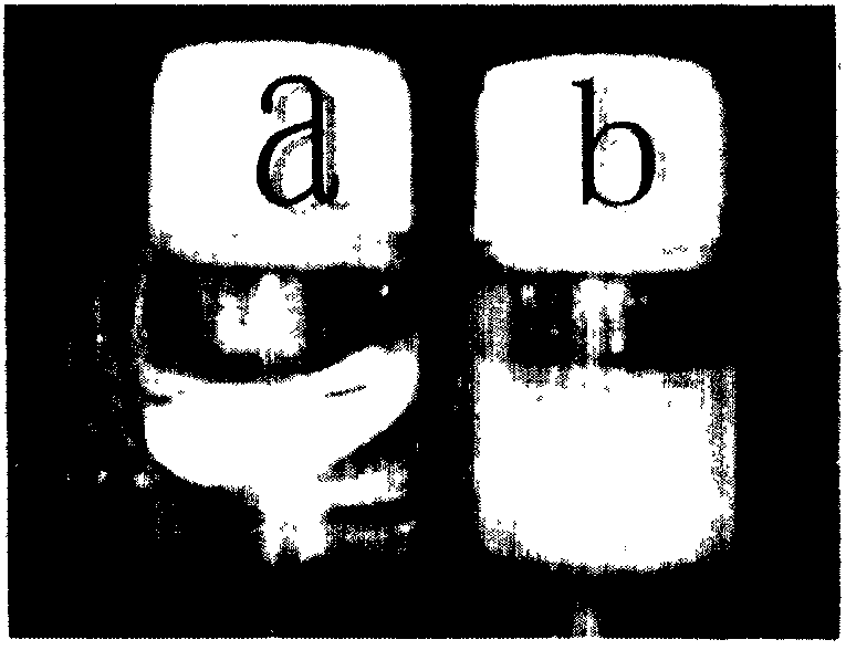 Controllable biological degradable polyester superfine fibrous film material