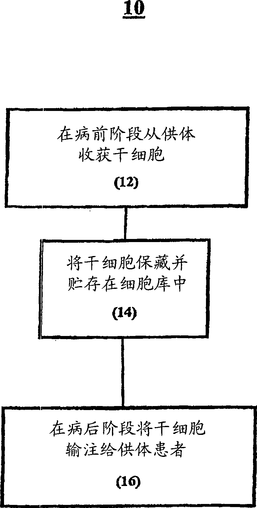 Processing procedure for peripheral blood stem cells