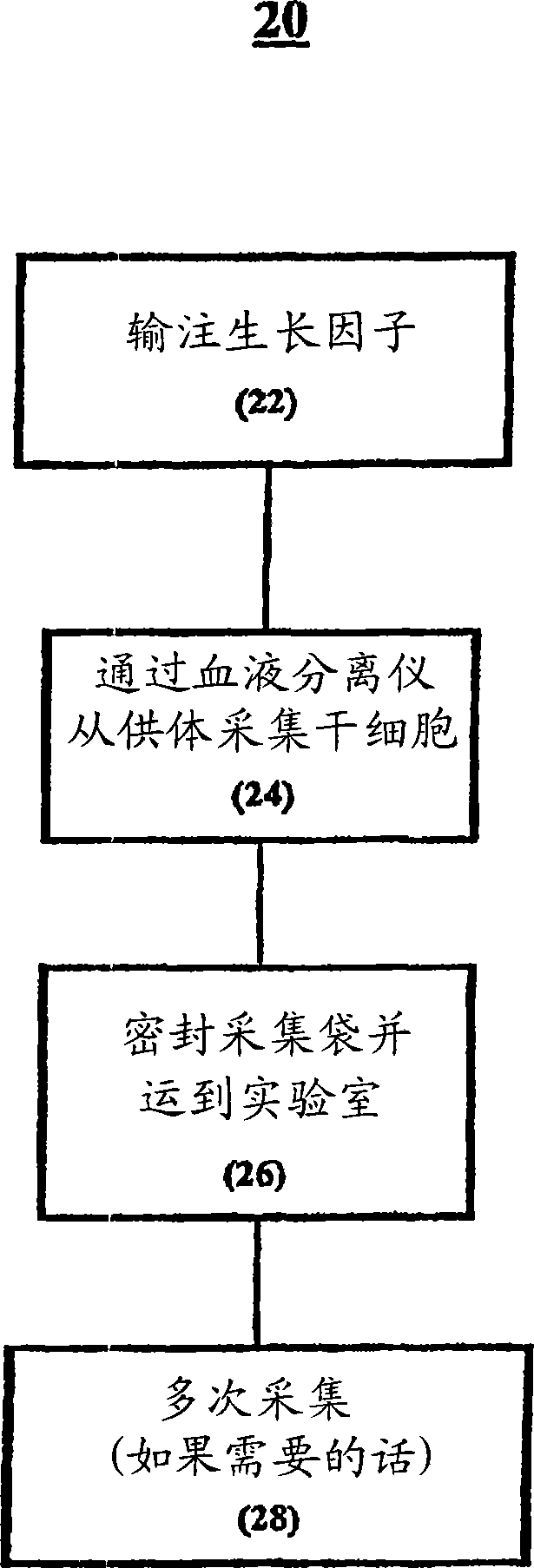 Processing procedure for peripheral blood stem cells