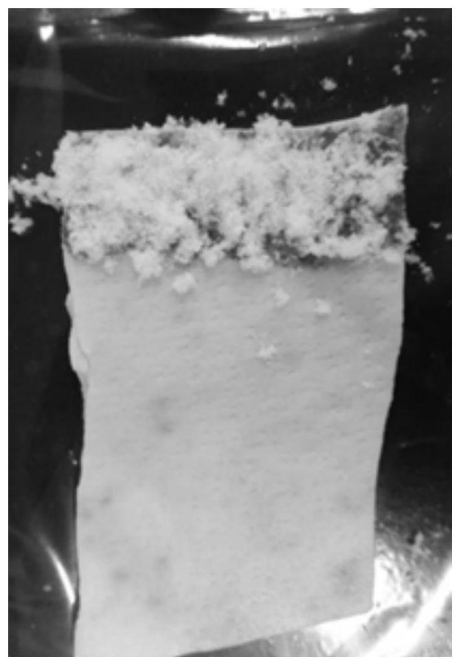 Polysaccharide-based tissue bonding medical adhesive and application thereof