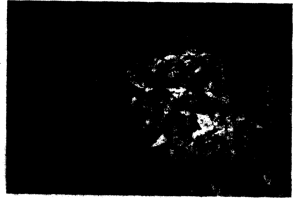 Tourmaline/titanium dioxide composite collosol containing rare earth and its preparation method and uses