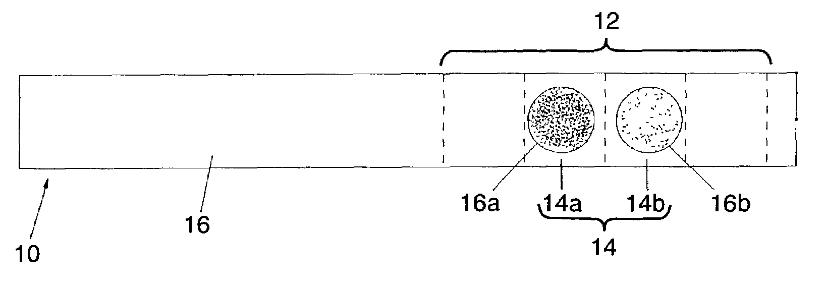 Method for selectively combining multiple membranes for assembly into test strips