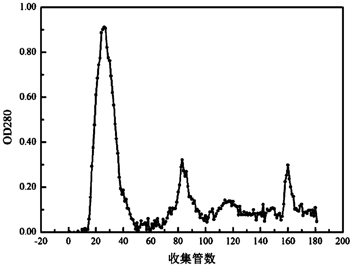 Preparation method of nitrite reductase of lactobacillus casei subsp rhamnosus