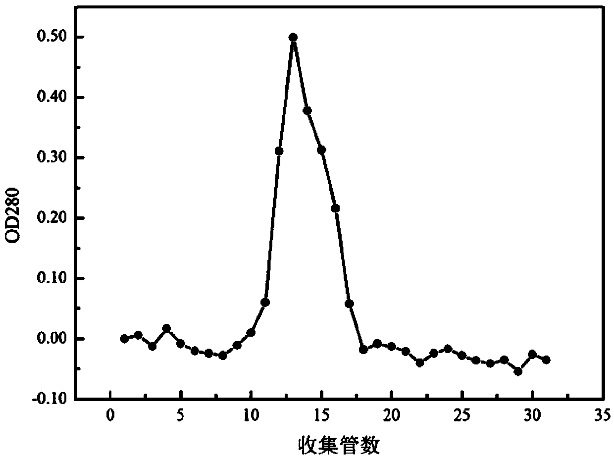 Preparation method of nitrite reductase of lactobacillus casei subsp rhamnosus