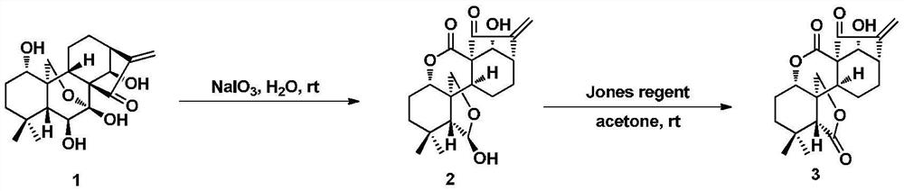 A kind of samiculin-type kaurane diterpene combined nitrogen mustard derivative and its preparation method and application