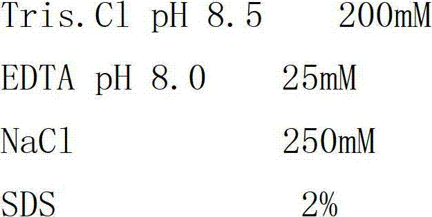 Protein derived from Trichoderma reesei and gene application thereof