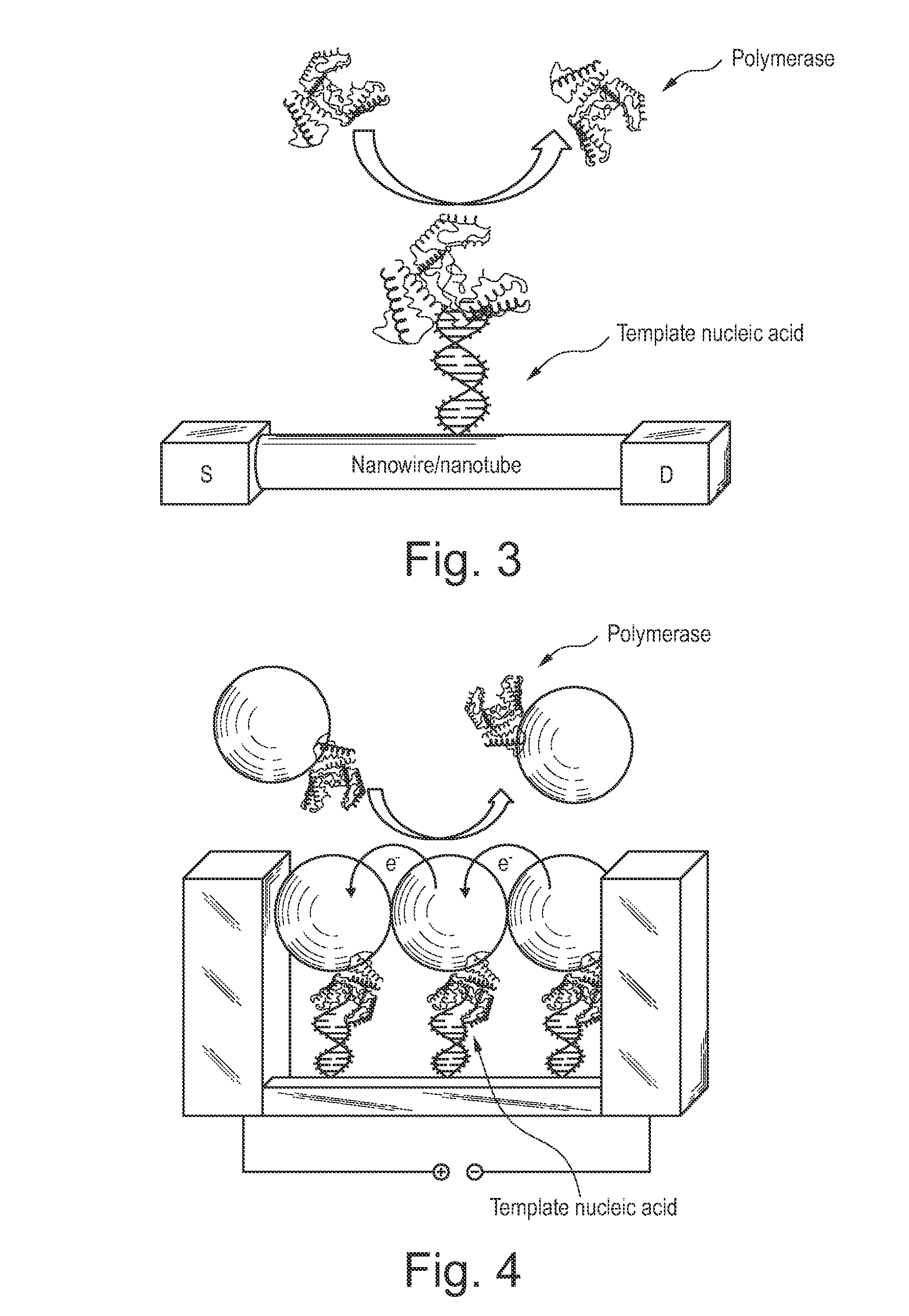 Apparatus and methods for kinetic analysis and determination of nucleic acid sequences