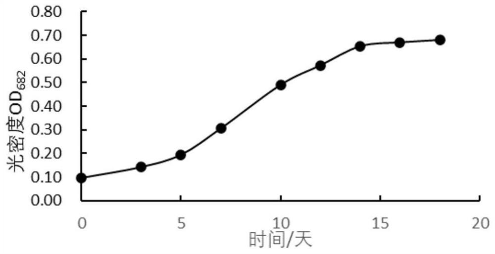 Nannochloropsis oculata and application thereof