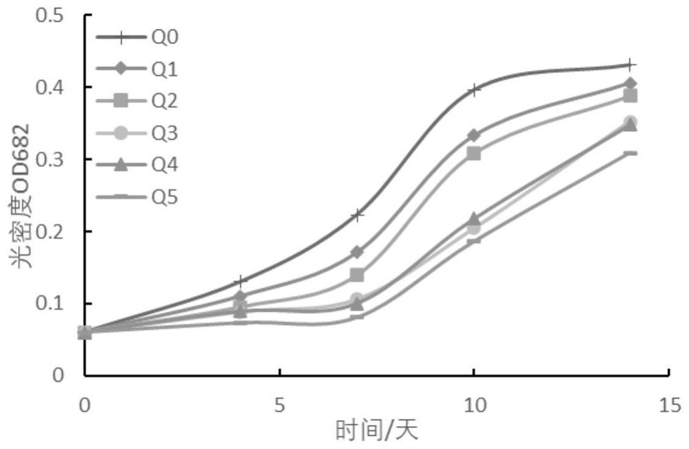 Nannochloropsis oculata and application thereof