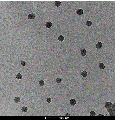 Anti-tumor platinum pro-drug and nanometer hydrogel drug and preparation method thereof