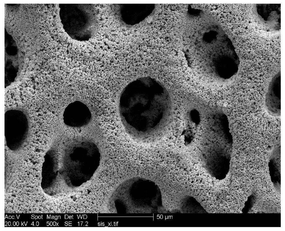 Preparation method of three-dimensional self-supporting porous CuSn alloy catalyst for producing formic acid through carbon dioxide reduction