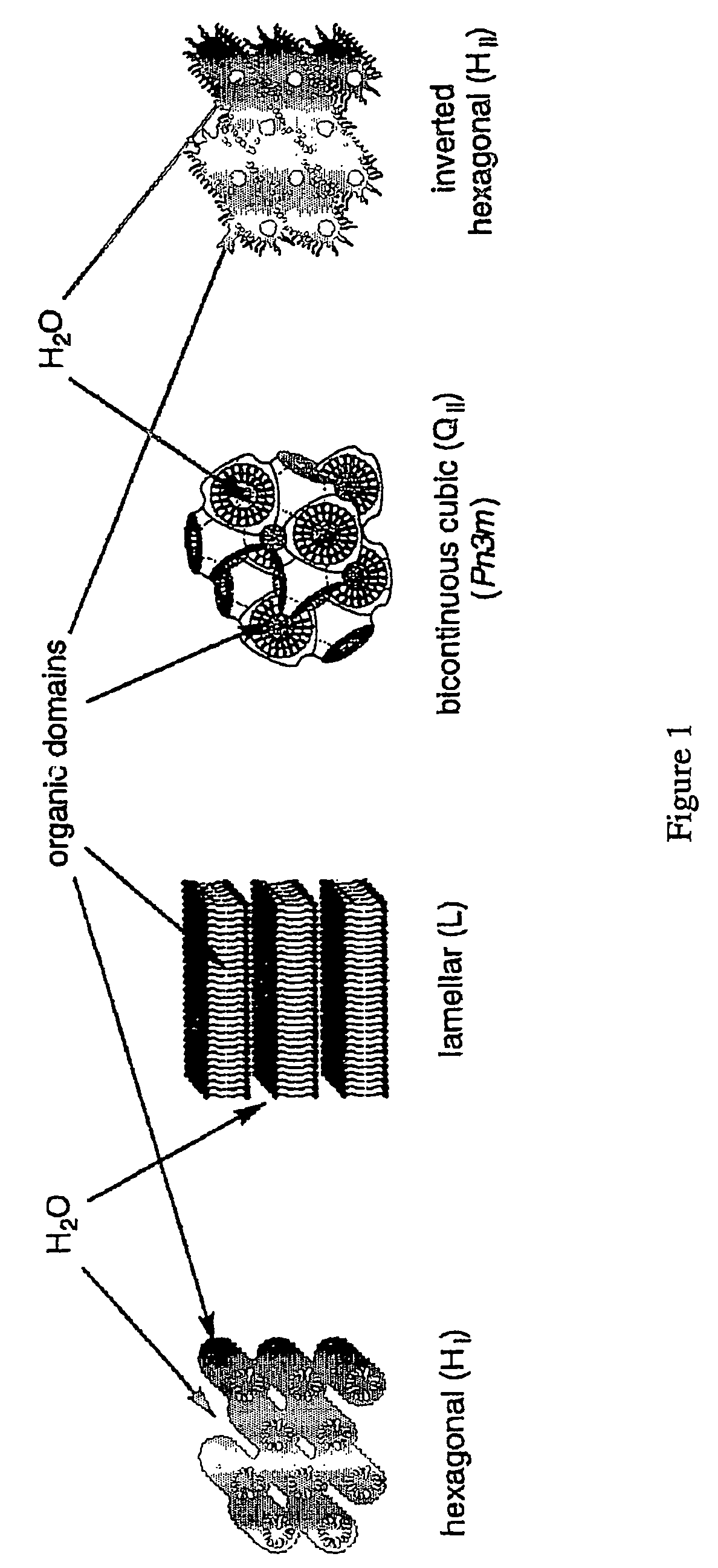 Functionalized nanostructured lyotropic liquid crystal polymers