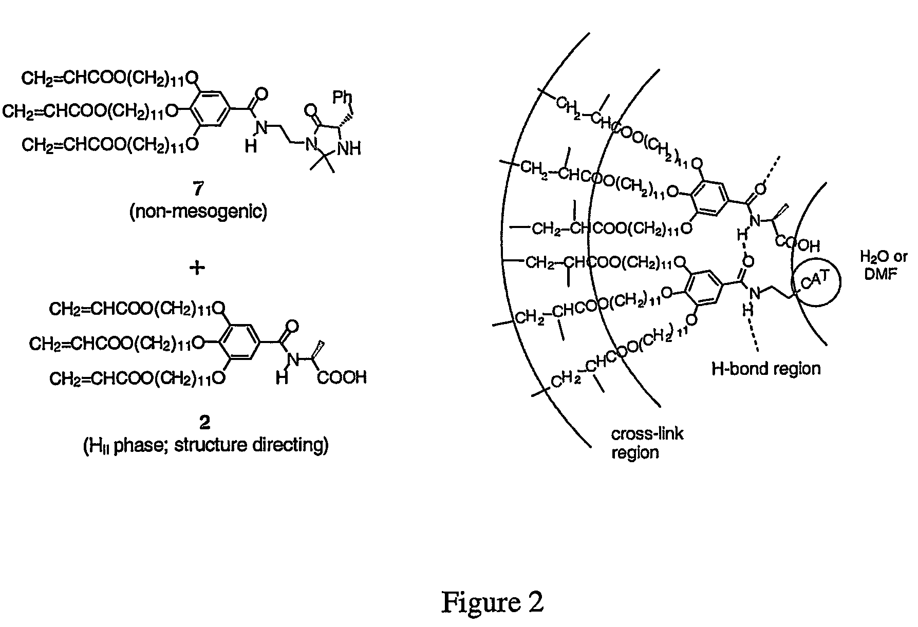 Functionalized nanostructured lyotropic liquid crystal polymers