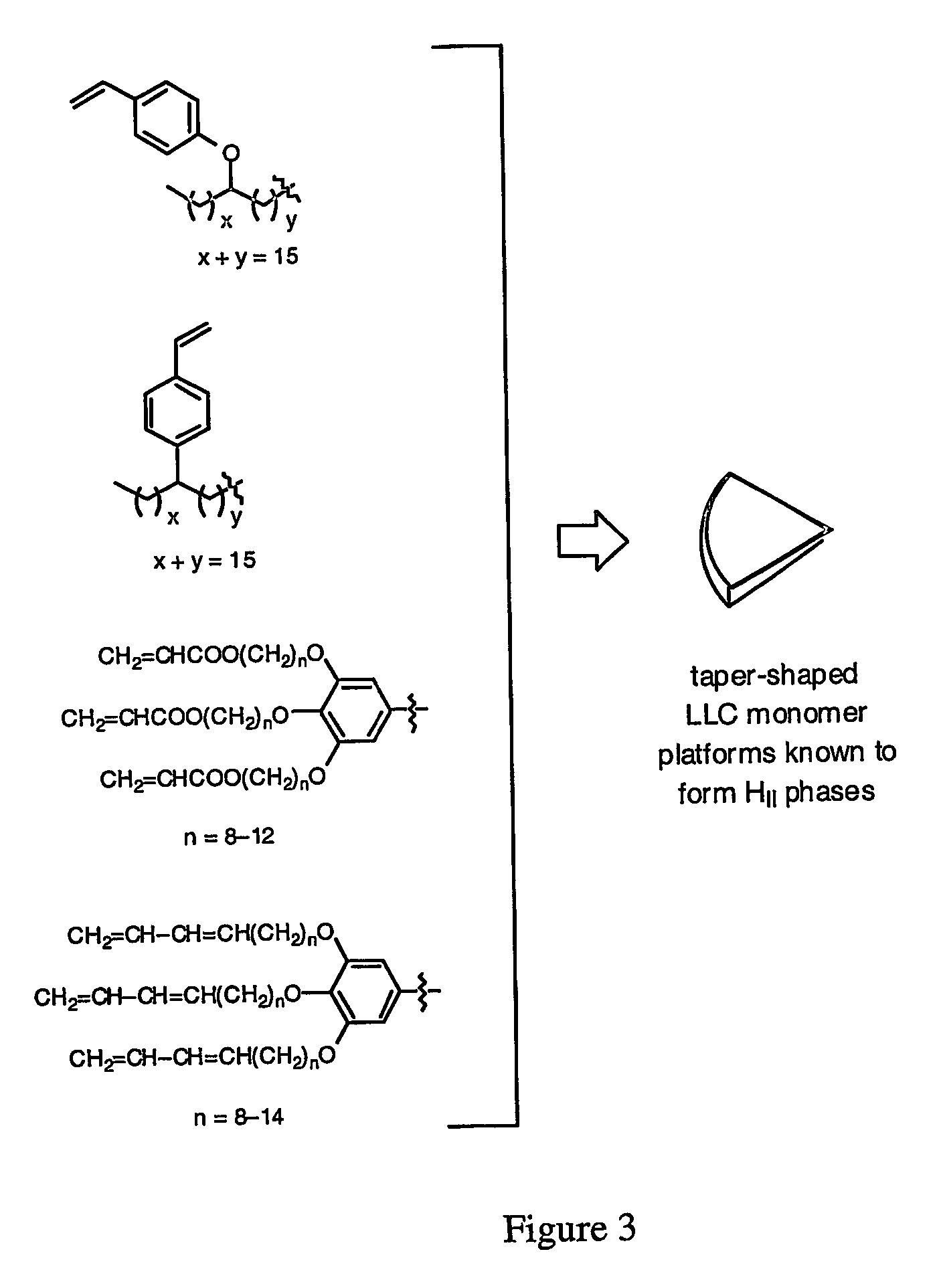 Functionalized nanostructured lyotropic liquid crystal polymers