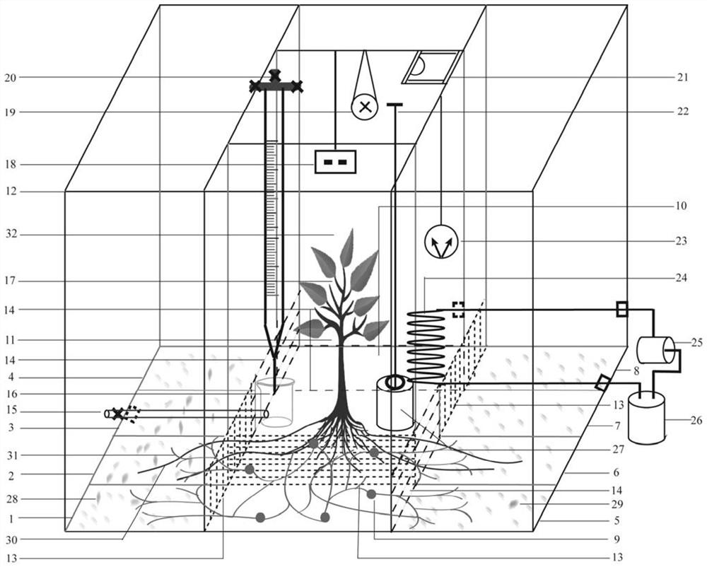 Method and device enabling isotope C-N marked endophytic fungi and host plants to be in mutualistic symbiosis