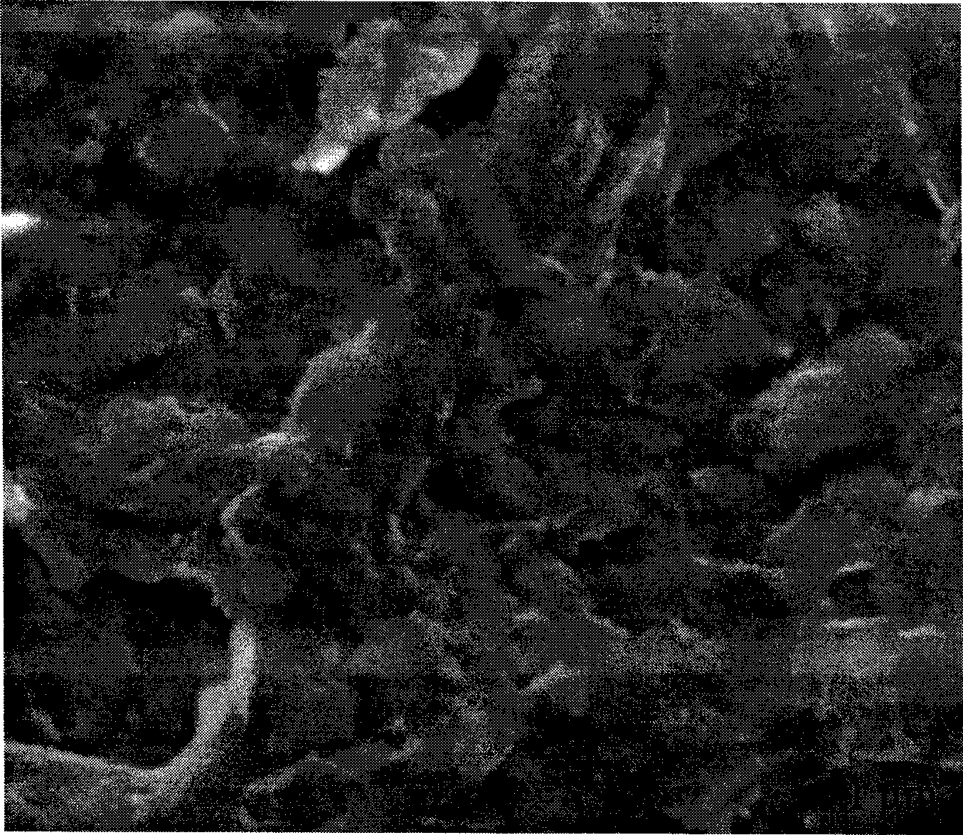 Preparation method for biodegradable fluorescent polyester multipolymer