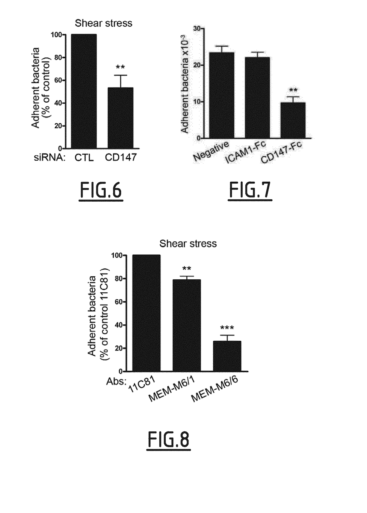 Cd147 as receptor for pilus-mediated adhesion of meningococci to vascular endothelia