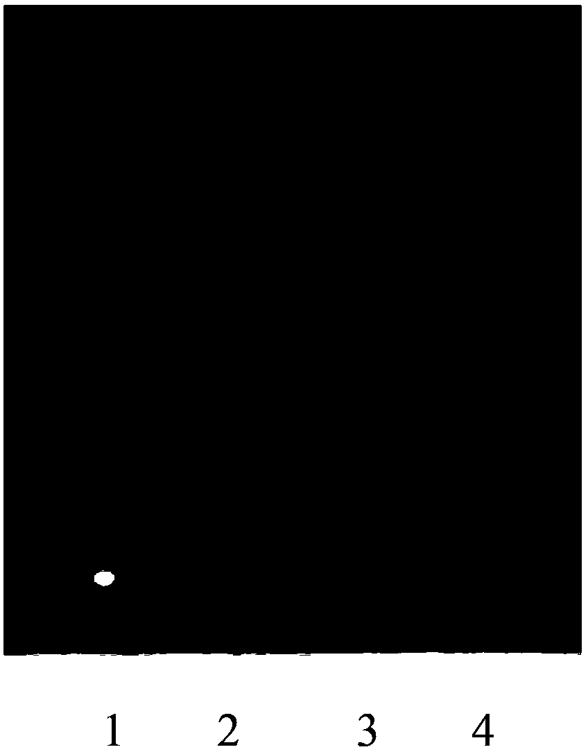 "Sanhuang" heart-fire removing decoction formula granules and preparing method and detection method thereof