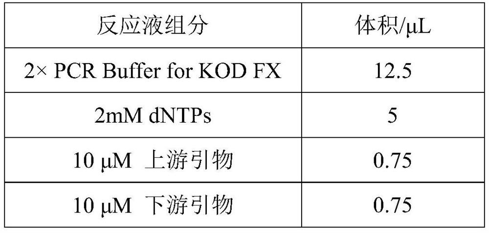 Nucleic acid molecule, PCR primer pair and kit for detecting poultry trichomonad TBP gene