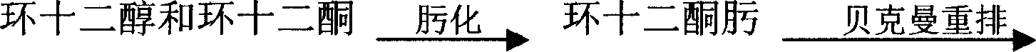 Long carbon chain nylon hot melt glue and its synthesis method