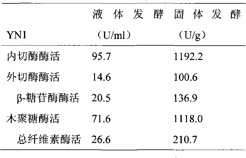 Bacteria for degrading cellulose and microbial inoculum prepared by same