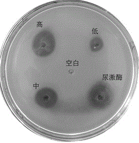 Pillbug extract and application thereof