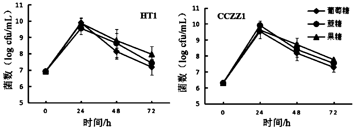 Medium capable of improving survival rate of lactic acid bacteria during preservation and application thereof