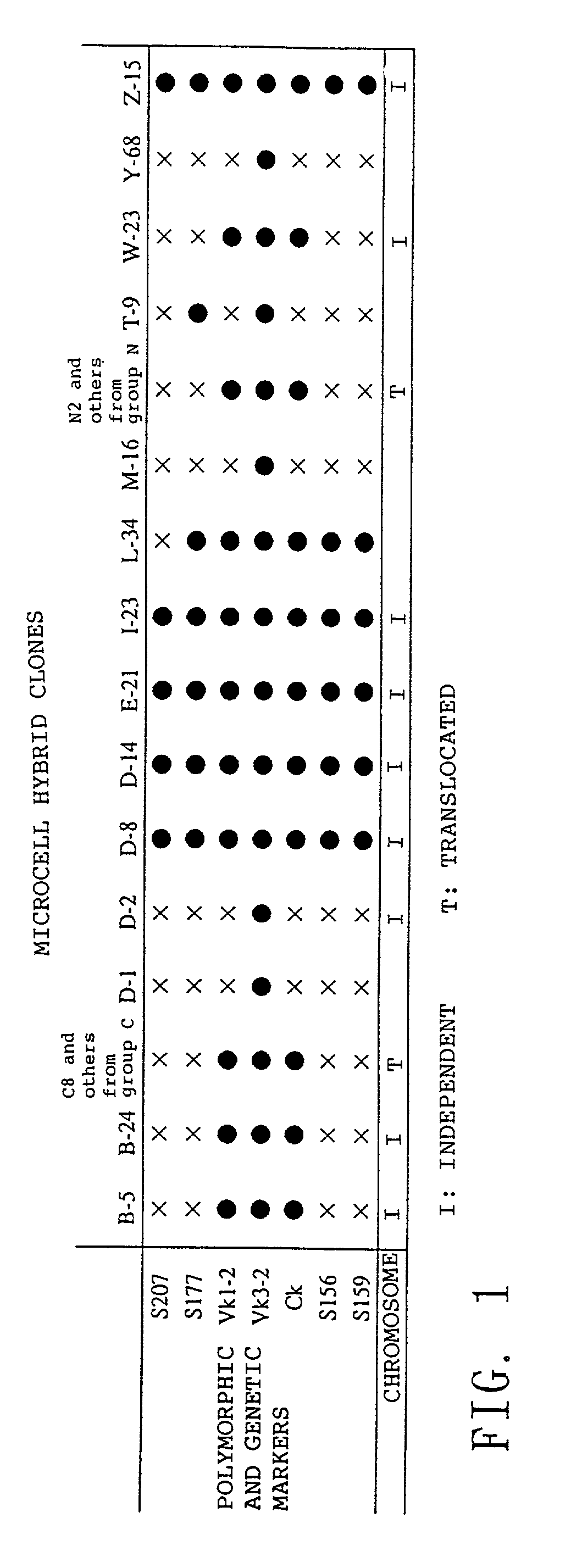 Method for modifying chromosomes