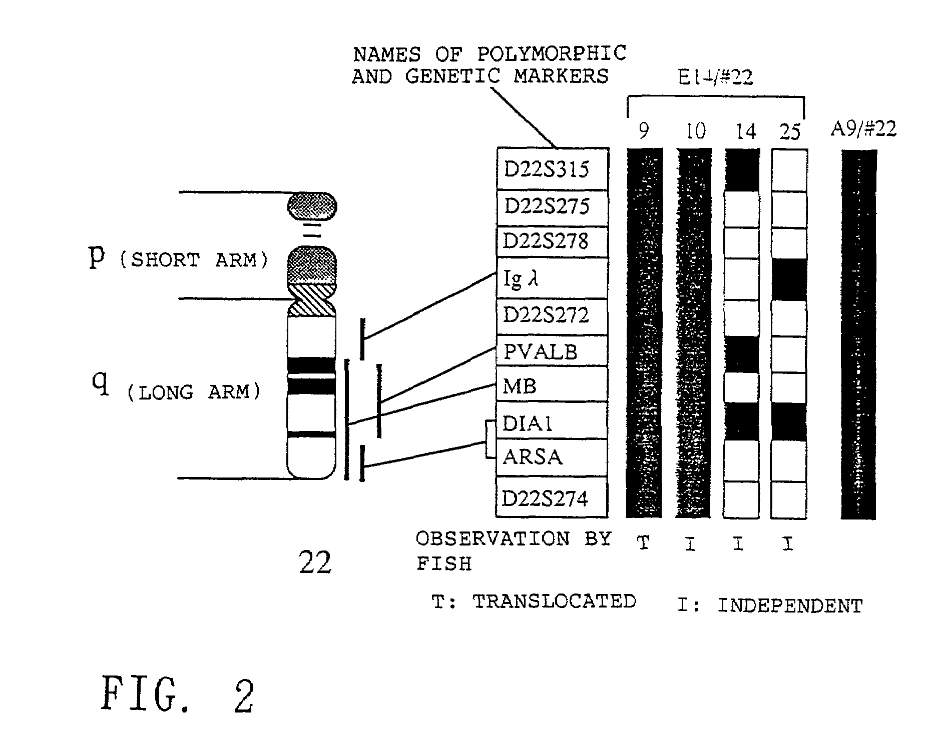 Method for modifying chromosomes