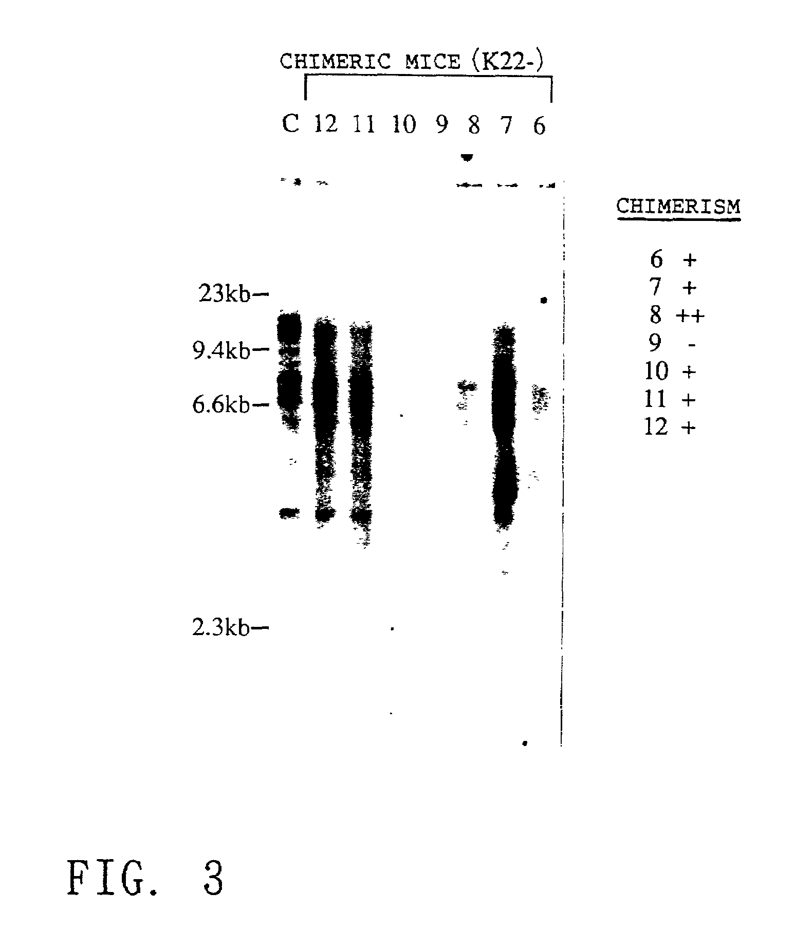 Method for modifying chromosomes