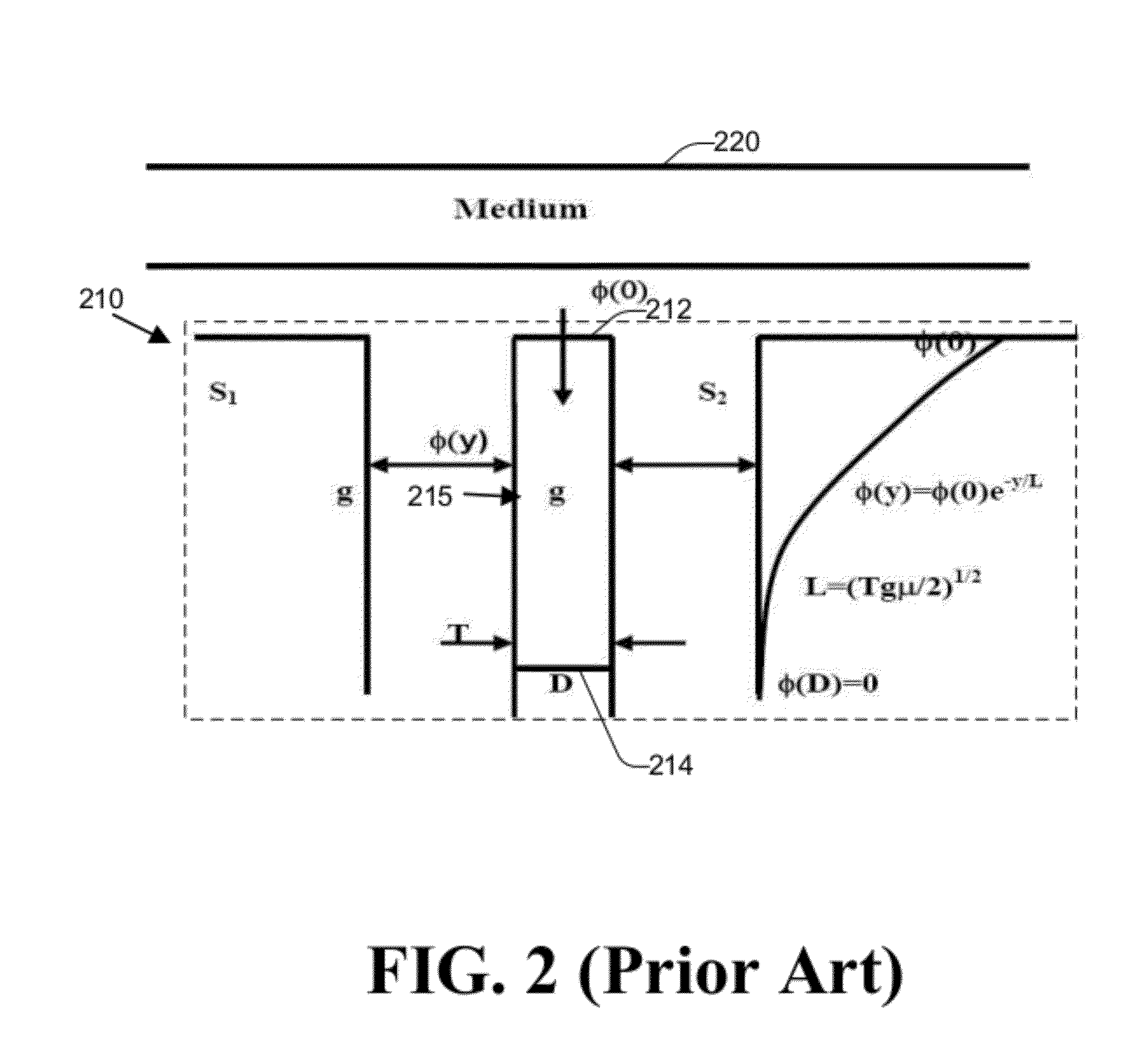 TMR read head structures with differential stripe heights