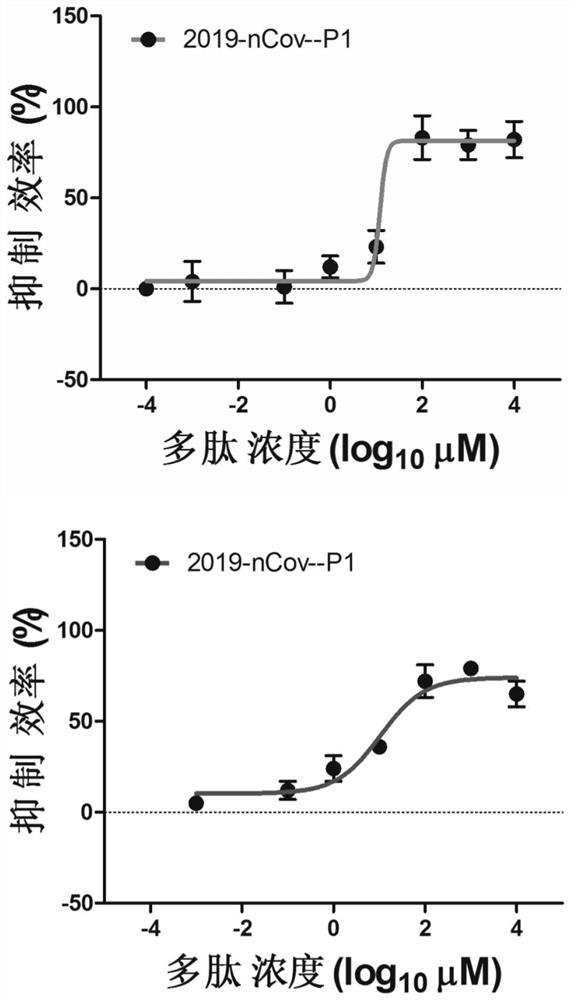 A polypeptide for inhibiting novel coronavirus and its use