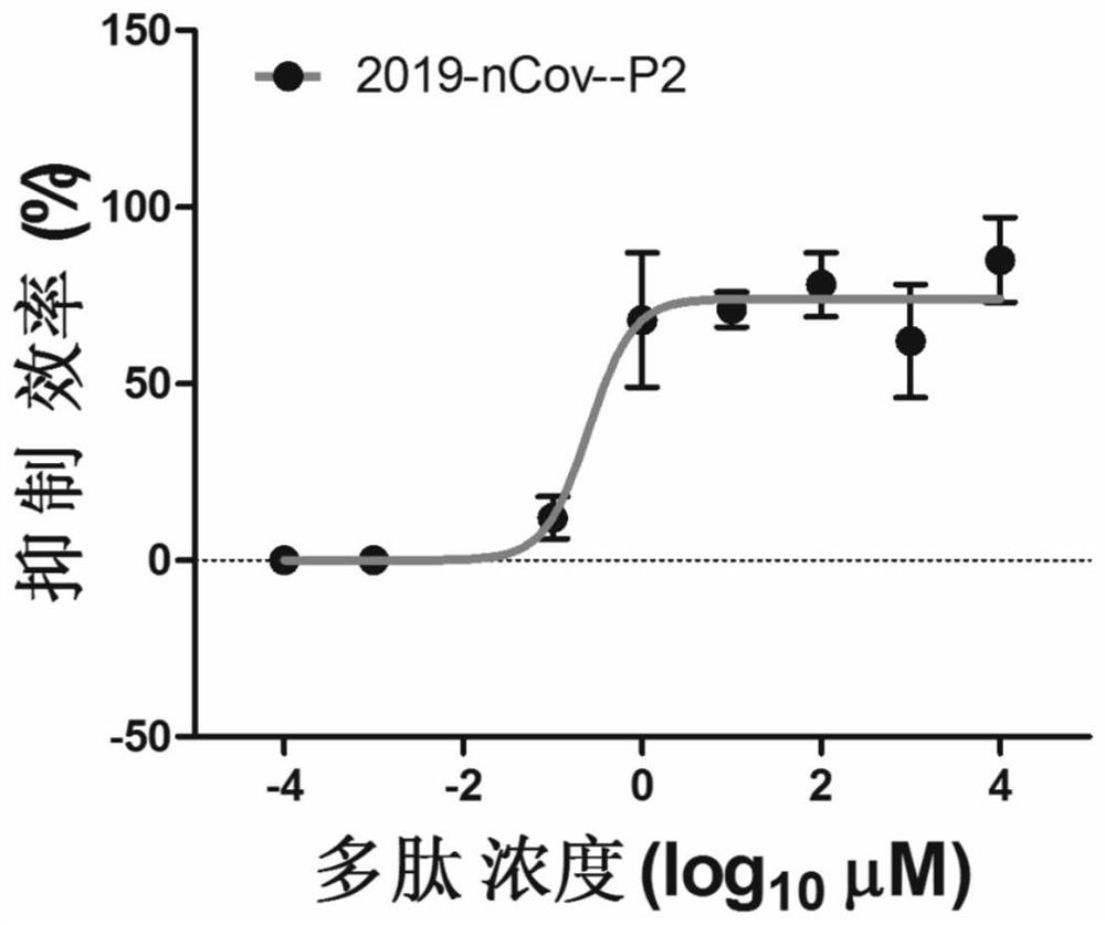 A polypeptide for inhibiting novel coronavirus and its use