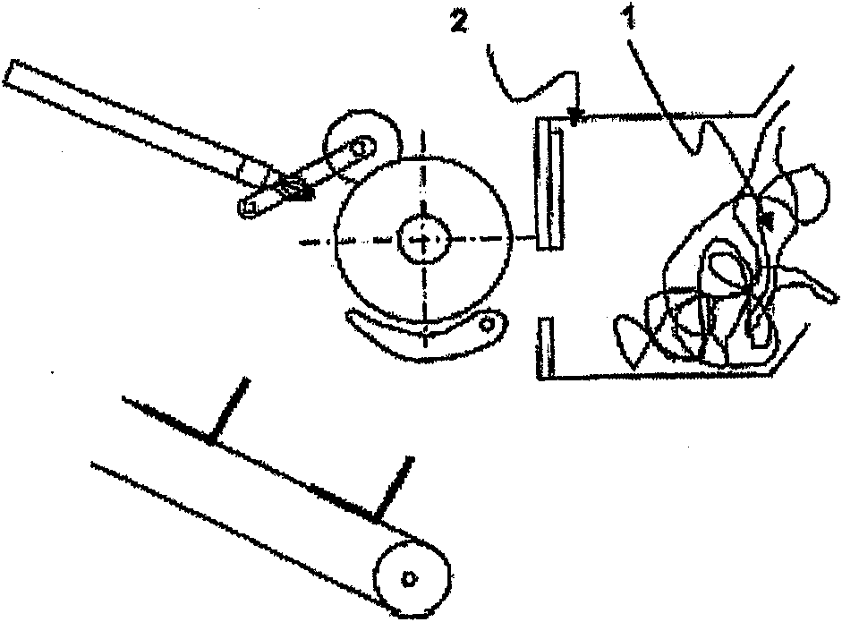 Device and method for winding sheared waste from steel band edges